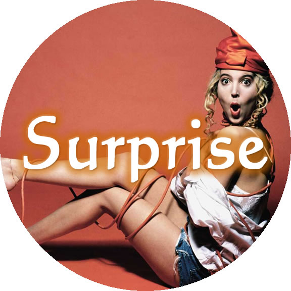 無駄な経費はかけない